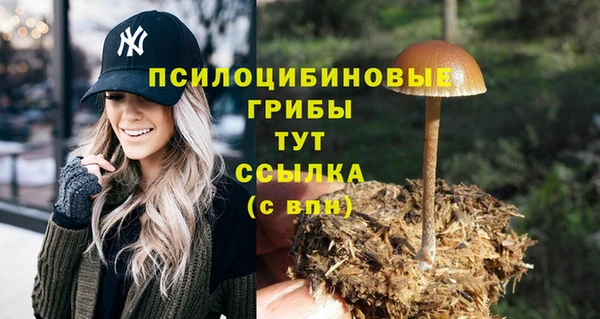 скорость Абинск