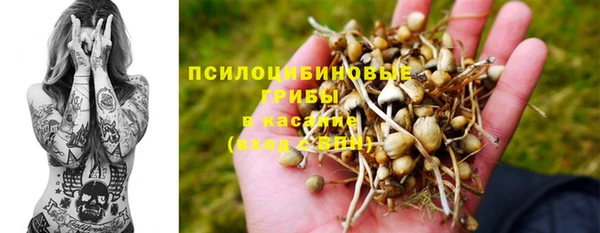 Альфа ПВП Абаза