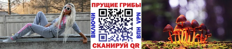 Псилоцибиновые грибы прущие грибы где можно купить наркотик Шахты